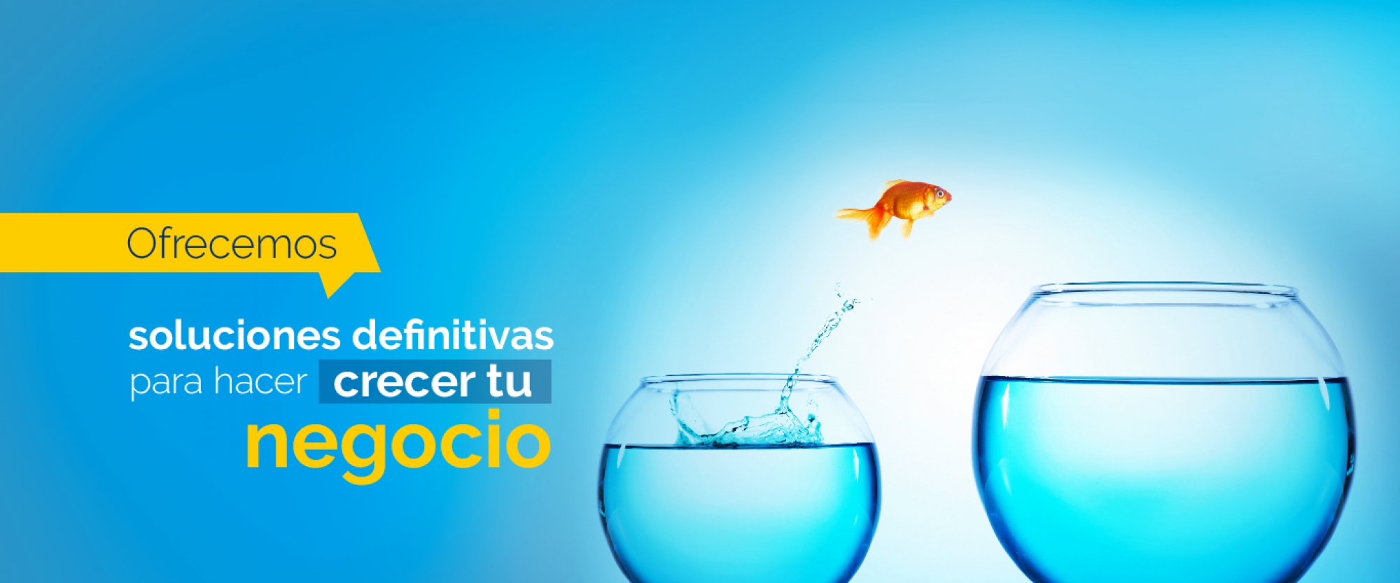 Servicios Grupo Creativo Macondo